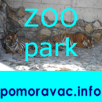 pomoravac.info/zoo-vrt